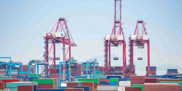 RUMA-Importación-Exportación-Logística-Internacional-la fuerza que mueve tu fuerza interior_20